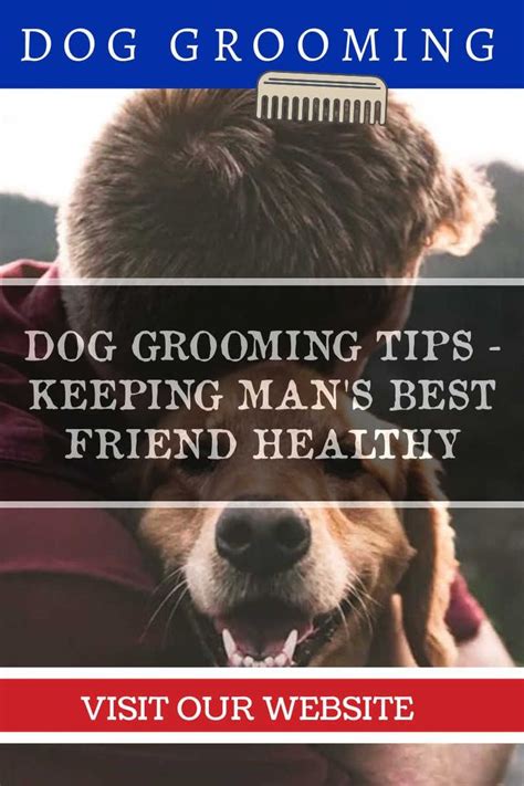 Includes home improvement projects, home repair, kitchen remodeling, plumbing, electrical, painting, real estate, and decorating. Do it Yourself Dog Grooming Tips For Everyone -- Check out the image by visiting the link. # ...