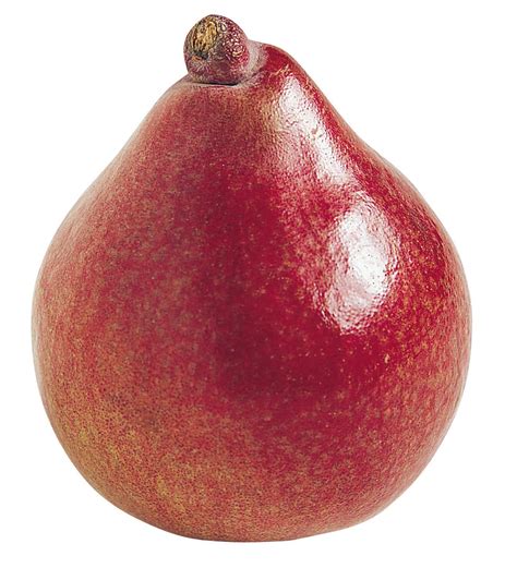 Maybe you would like to learn more about one of these? Pear - Nutrition Facts - Pear Calories & Health Benefits