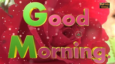 Good Morning Wishes,Whatsapp Video,Greetings,Animation ...