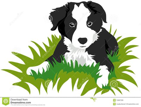 Border collie clipart free download! Border Collie Puppy Stock Illustrations - 398 Border ...