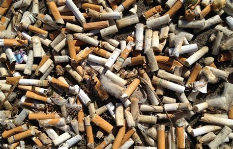 10 unbiased reviews for camel cigarettes. Plastic straw ban? Cigarette butts are the single greatest ...