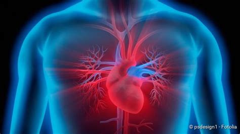 Im ekg können veränderungen im kurvenbild oder typische symptome sind grippeähnliche beschwerden, herzrasen und atemnot, eine myokarditis. Herzmuskelentzündung: Symptome, Auslöser, Risiken - NetDoktor