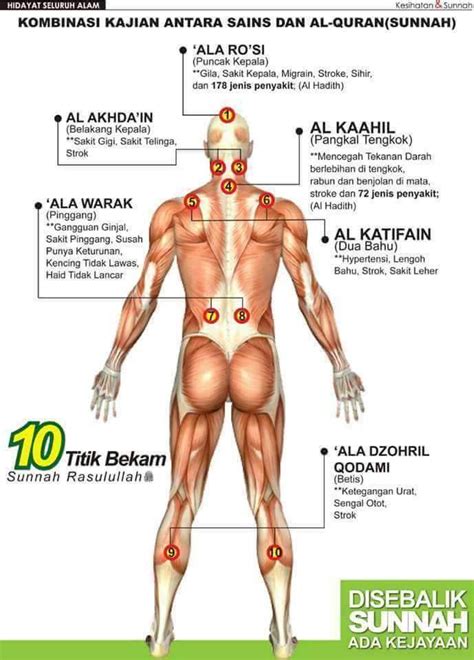 **waktu bekam terbaik waktu pagi dari 10am menguatkan hafalan dan menyembuhkan penyakit. Kebaikan Bekam dan Kelebihan Berbekam Untuk Kesihatan