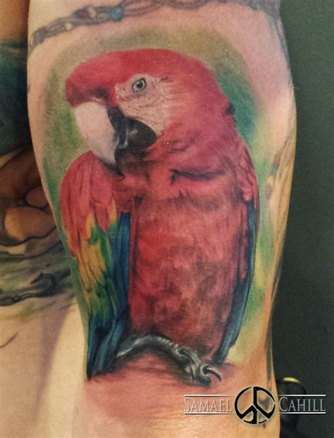 Free shipping on orders over $25 shipped by amazon. Macaw parot tattoo by Samael Cahill | Animal tattoos ...