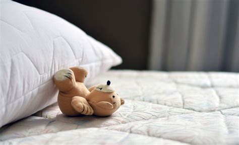 Roughly four out of five homes in the united states have detectable levels of dust mite allergen in at least one in the spring, pollen aggravates allergies, and dustmite infestations make it worse. How to remove dust mites from your mattress: the perfect ...