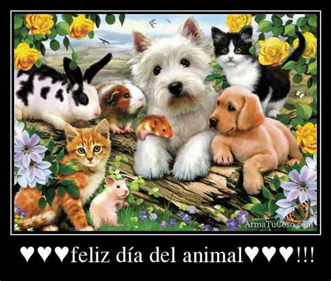 Una fundación recupera perros discapacitados y los entrega en adopción. Hermosas imagenes para descargar con frases de Feliz Día ...