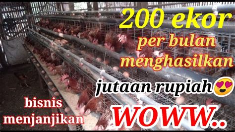 We did not find results for: BISNIS MENJANJIKAN DARI USAHA AYAM PETELUR - YouTube