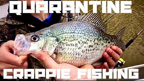 We did not find results for: Quarantine Crappie Fishing!! Catch, Clean and Cook fish ...