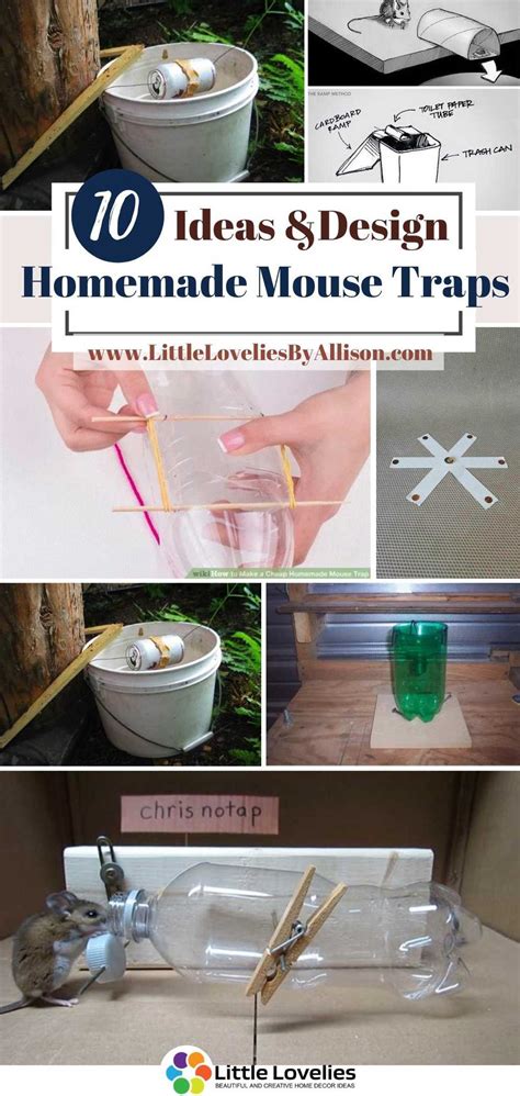 For your trap to be successful, the bucket. 10 Homemade Mouse Traps To Get Rid Of Rodents 100%