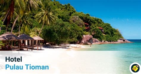 After 2 years tak jumpe dorg finally we meet again on this vacation. Hotel Pulau Tioman © LetsGoHoliday.my