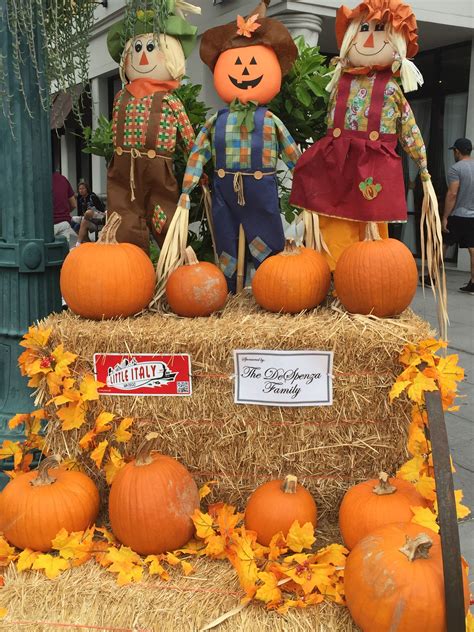 Get directions, reviews and information for pb pumpkin patch in san diego, ca. Pin by Toni Normand on San Diego | Pumpkin patch, Italy ...