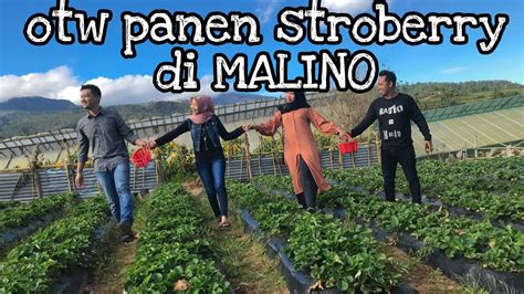 Tersedia dengan gaya sembilan tema yakni, taman bertema air, taman mawar, taman gaya perancis, bali, taman. Wisata Pandeglang Taman Bunga / Taman Bunga Di Pandeglang ...