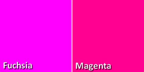 Fuchsia comes from red and purple magenta from red and blue. What is the difference between "magenta" and "fuchsia ...