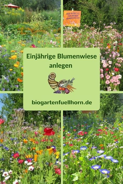 Wer nicht viel zeit für gartenarbeit hat, muss einen pflegeleichten garten anlegen. Pflegeleichten Garten mit üppigen Beeten anlegen | Blumen ...