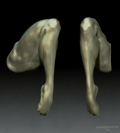 Téléchargez des photos muscle anatomy back abordable et rechercher parmi des millions de photos libres de droits. ArtStation - Mens Leg (Anatomy Study), Dirk Wachsmuth ...
