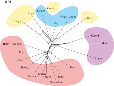 The finest of wool separated from the rest; Meaning For Robust In Tamil - Hacks For Roblox That Work ...