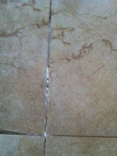 Check spelling or type a new query. Efflorescence Flowering from grout - Help - Ceramic Tile ...