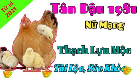 Trong mọi dự tính về công việc làm ăn, bạn hãy thực hiện chớ nên ngần ngại, việc thành công là điều chắc chắn. TỬ VI 2021 TUỔI TÂN DẬU 1981 NỮ MẠNG | TÀI LỘC SỨC KHỎE ...