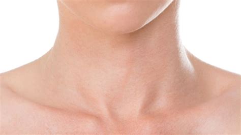 Neck definition, the part of the body of an animal or human being that connects the head and the trunk. The meaning and symbolism of the word - «Neck»