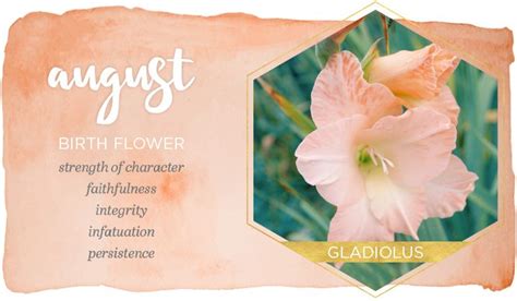 Every year on november 1st, it is believed that the dead souls are guided back to visit their living relatives by following a path of marigold leaves. August Birth Flower: Gladiolus - FTD.com in 2020 | Birth ...