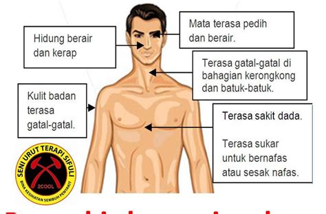 Pencemaran alam sekitar telah memberi kesan yang buruk terhadap hidupan di dunia pada masa kini. MENEROKAI DUNIA SAINS: KESAN PENCEMARAN UDARA KEPADA ALAM ...