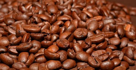 We did not find results for: 13 Coffee Myths Debunked - Agent Palmer