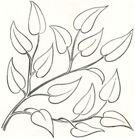 Photograph the leaf at different complex angles, straight on, from above, below, and the side. How to Draw Tree Branches Full of Leaves Drawing Tutorial - How to Draw Step by Step Drawing ...