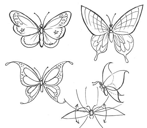 In drawing, every step matters, and it can't be a guessing game. Pencil Drawing Of Butterfly at GetDrawings | Free download