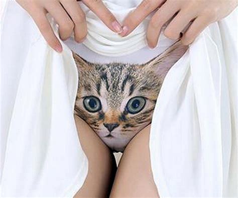 2020 popular 1 trends in home & garden, underwear & sleepwears, toys & hobbies, novelty & special use with pet panties for cat and 1. Show Me Your Kitty Panties | DudeIWantThat.com