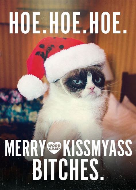 It starts with cat and ends with memes. Grumpy Cat Christmas Pictures, Photos, and Images for Facebook ... | Funny grumpy cat memes ...