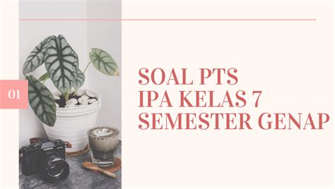 Check spelling or type a new query. Kumpulan Soal, dan Kunci Jawaban PTS IPA SMP Kelas 7 ...