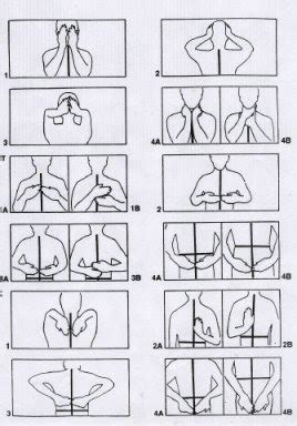 The left lung is behind the ribs from the anatomic position, standing. Reiki Hand Positions