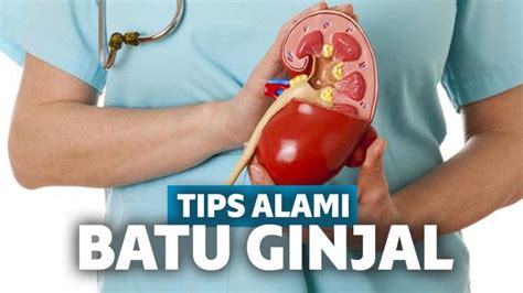 Sebab, cara menghilangkan bekas luka koreng bisa menjadi percuma apabila anda mengelupasnya. Tips Alami Menghilangkan Batu Ginjal