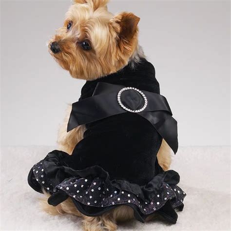 We did not find results for: every Yorkie needs a LBD | Yorkie puppy clothes, Yorkie, Puppy clothes