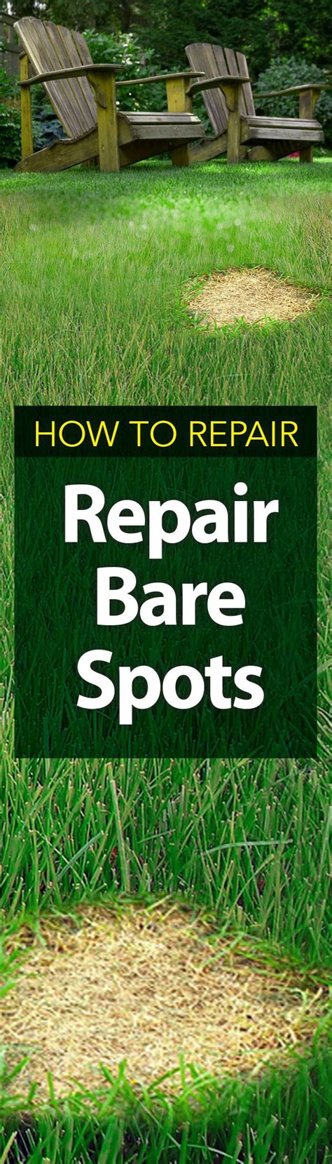 These affected areas sometimes vary in size and can be located along the edges how do i identify bare or brown spots in my lawn? How to Repair Bare Spots in Your Lawn | Lawn care business ...