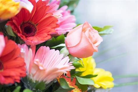 I live in nampa and drive over to caldwell passing about 20 pharmacies along the way. Floral - Fruth Pharmacy