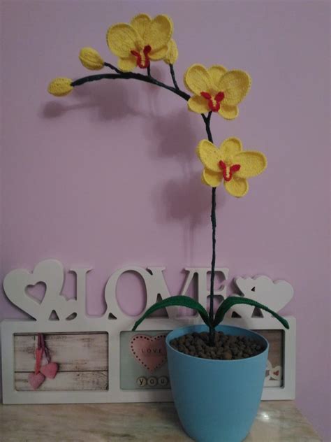 Orchidee con macchie simili a bruciature: Orchidea pianta all ' uncinetto in vaso idea regalo - Per ...