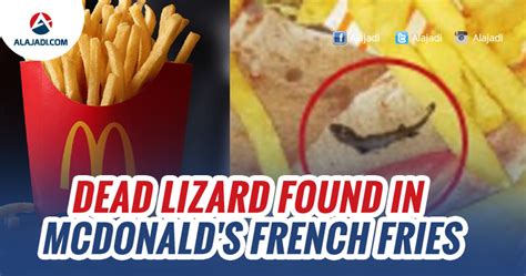 King gizzard and the lizard wizard. » Woman Finds Dead Lizard In French Fries At McDonald's