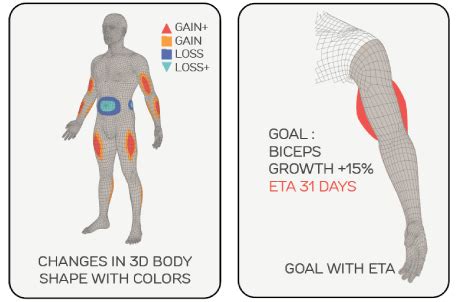 Choose an effective workout that suits your lifestyle. Arm Muscles Map - Tibialis Anterior Muscles Anatomy Map Canstock / While doing arm circles ...