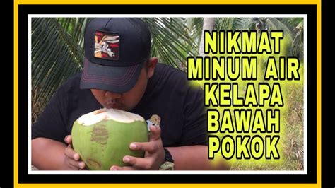 Air kelapa juga bisa membantu memproteksi janin dari kemungkinan infeksi, bun. Minum air kelapa bawah pokok (my first video vlog editing ...
