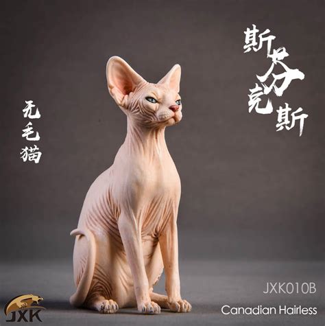 Why buy a sphynx kitten for sale if you can adopt and save a life? Sphynx Canadian Hairless Cat (Beige) JxK Studio - Machinegun