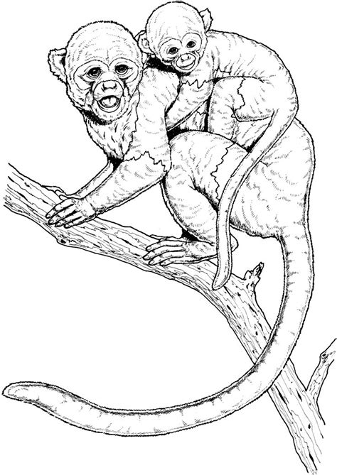 The color of their fur varies, but is most commonly cream or light tan around the face, neck and shoulders, and dark brown on the rest of its coat. Capuchin Monkey Coloring Pages - Ð¡oloring Pages For All ...