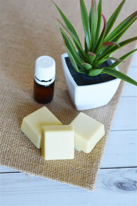 Pour hot liquid carefully into a silicone mold. Easy Homemade Lotion Bars with Essential Oils - More With ...