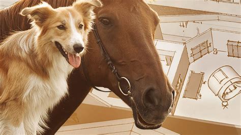 Check spelling or type a new query. Veterinary Medicine | UC Davis Big Idea | Veterinary ...
