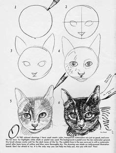 Think about how we use our eyes as human beings, we are able to see, interact and prepare for our journey in life. 30+ DRAW CAT EYEY ideas | drawings, cat drawing, animal drawings