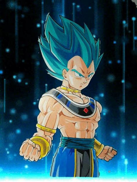 The dragon ball franchise has loads and loads of characters, who have taken place in many kinds of stories, ranging from the canonical ones from the manga, the filler from the anime series, and the ones who exist in the many video games. Vegeta SSB (G.O.D) | Anime dragon ball, Dragon ball art, Dragon ball