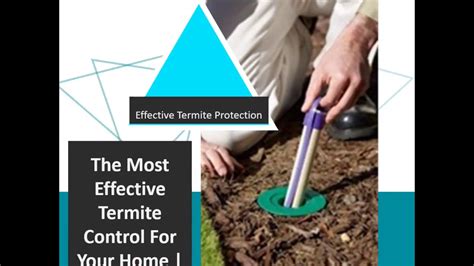 Termites are the most destructive pests you'll never see. Effective Termite Control Toms River NJ 732-504-3758 ...