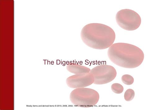 PPT - The Digestive System PowerPoint Presentation, free ...