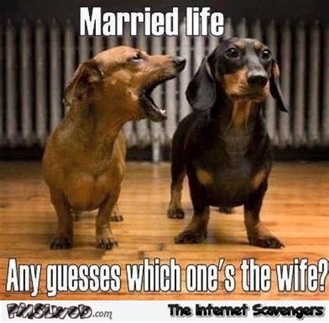 Happy anniversary hubby thank youu for making my life easier, better and happier textriessageseu cute wedding anniversary wishes for husband (with images). 16 Totally Relatable Wife Memes In Internet History ...