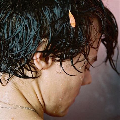 Serious actor/solo singer harry styles released his first single, political ballad sign of the times, last week. Sweet Creature - Harry Styles | Lyrics, Live, Songs, Tour ...